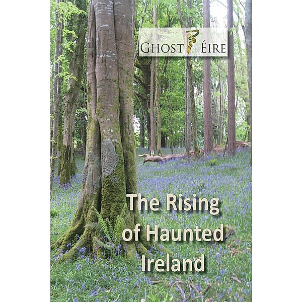 The Rising of Haunted Ireland, Anthony Kerrigan