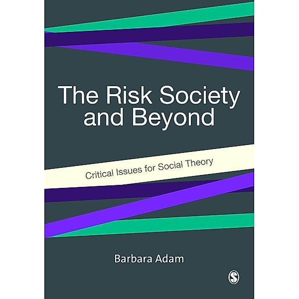 The Risk Society and Beyond