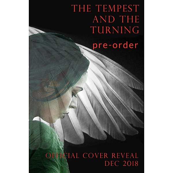 The River and the Ravages: The Tempest and the Turning (The River and the Ravages, #2), J M Lawler