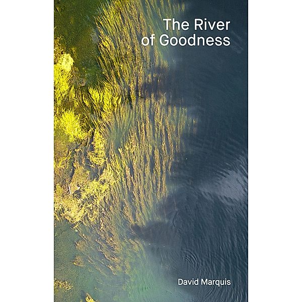 The River of Goodness, David Marquis