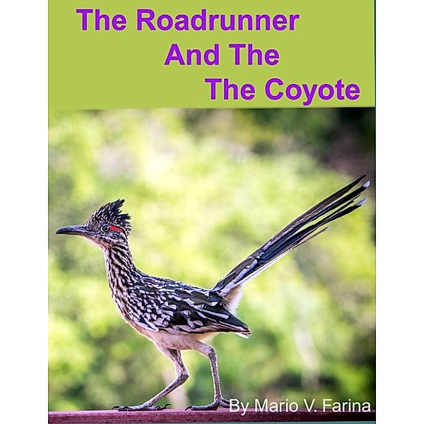 The Roadrunner And The Coyote, Mario V. Farina
