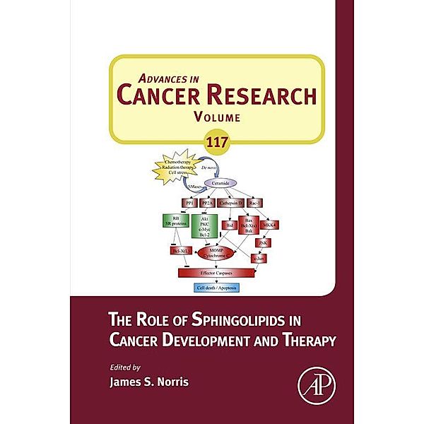 The Role of Sphingolipids in Cancer Development and Therapy