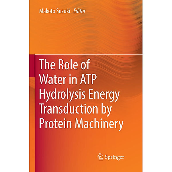 The Role of Water in ATP Hydrolysis Energy Transduction by Protein Machinery