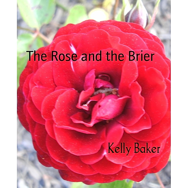 The Rose and the Brier, Kelly Baker