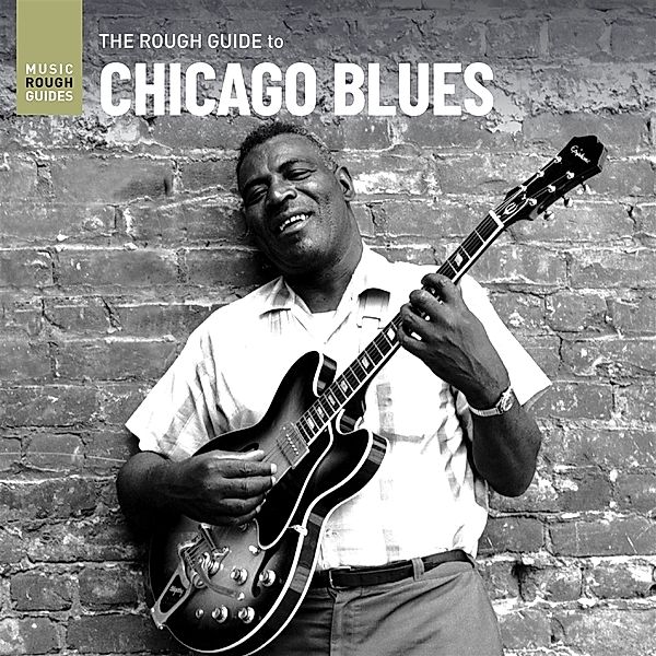 The Rough Guide To Chicago Blues (Lp) (Vinyl), Diverse Interpreten