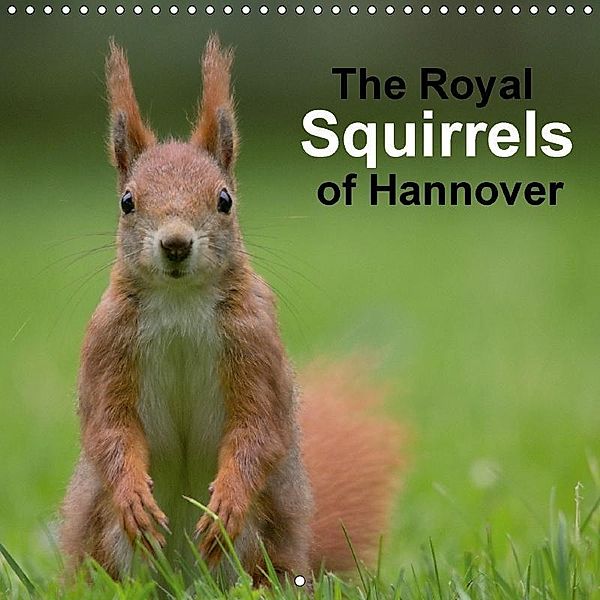 The Royal Squirrels of Hannover (Wall Calendar 2018 300 × 300 mm Square), Margret Brackhan