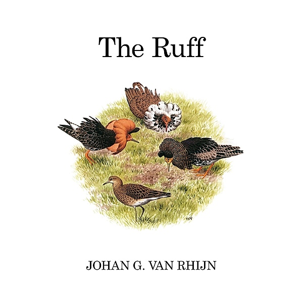 The Ruff, Johan G. van Rhijn