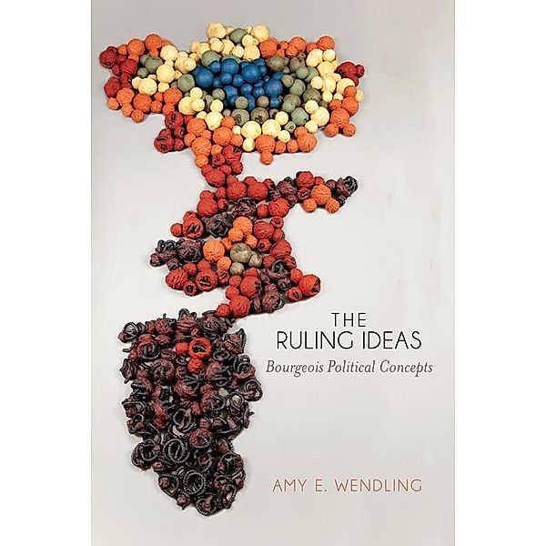 The Ruling Ideas, Amy E. Wendling