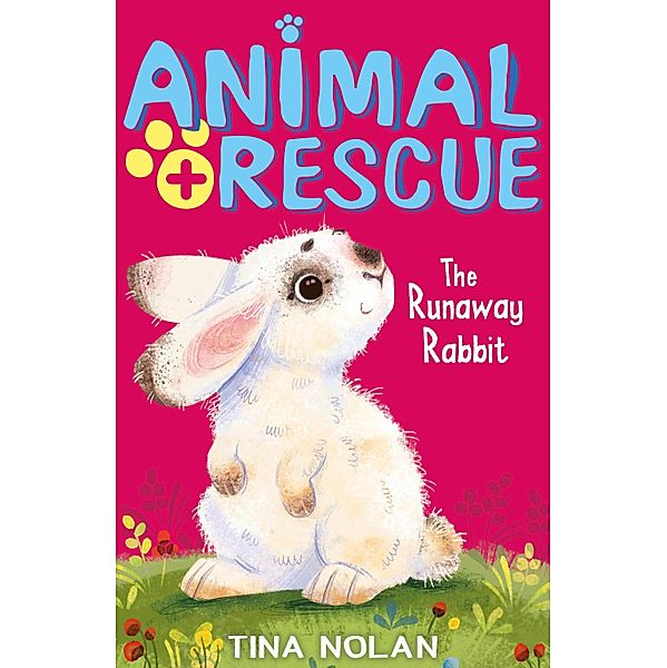 The Runaway Rabbit, Tina Nolan