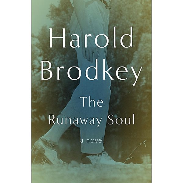 The Runaway Soul, Harold Brodkey