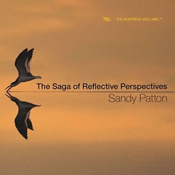 The Saga Of Reflective Perspectives, Sandy Patton