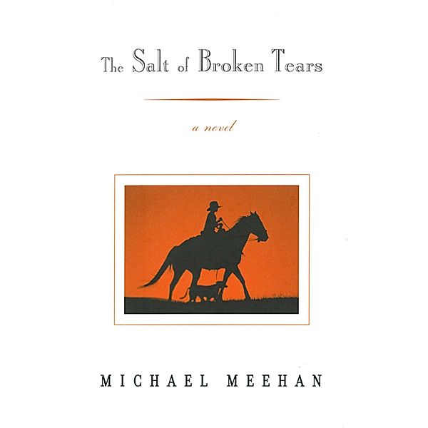 The Salt Of Broken Tears: A Novel, Michael Meehan