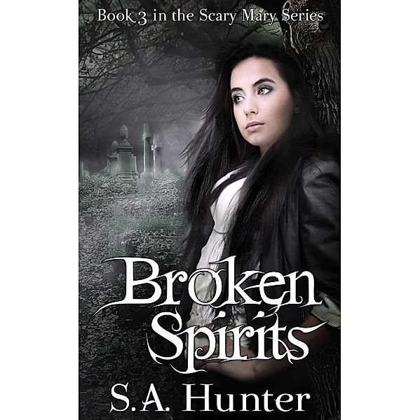 The Scary Mary Series: Broken Spirits, S.A. Hunter