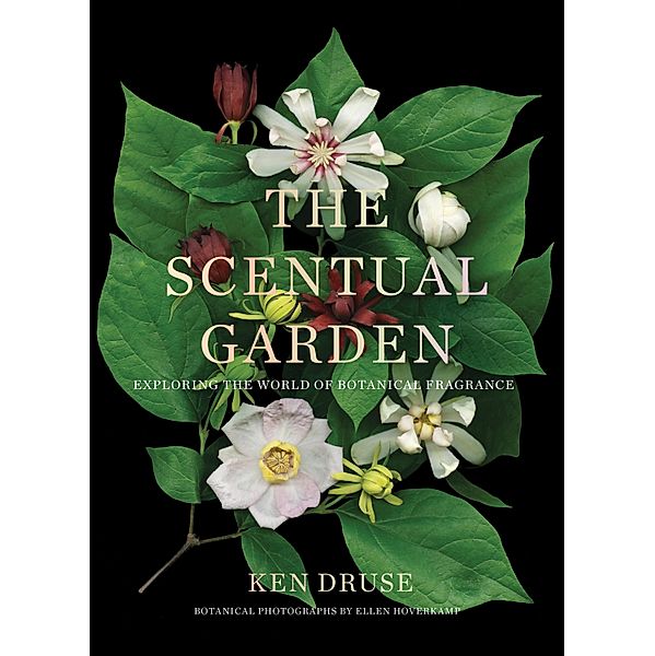 The Scentual Garden: Exploring the World of Botanical Fragrance, Ken Druse