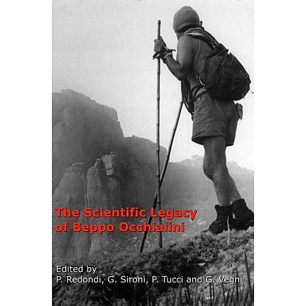 The Scientific Legacy of Beppo Occhialini