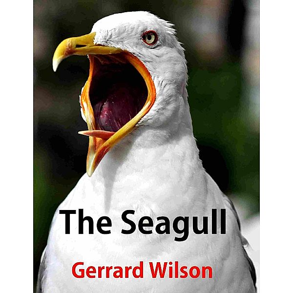 The Seagull, Gerrard Wilson