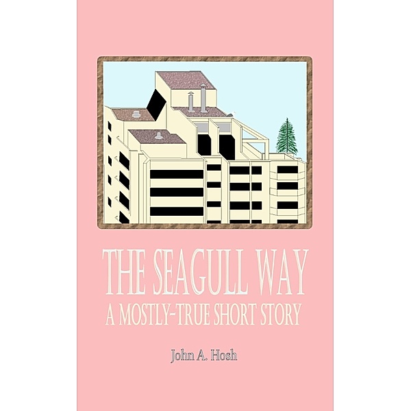 The Seagull Way: A Mostly-True Short Story, John Hosh