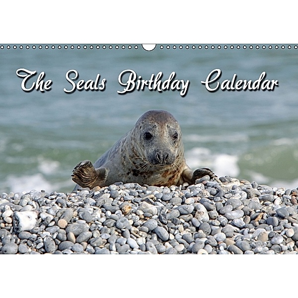 The Seals / UK-Version / Birthday Calendar (Wall Calendar perpetual DIN A3 Landscape), Berg Martina