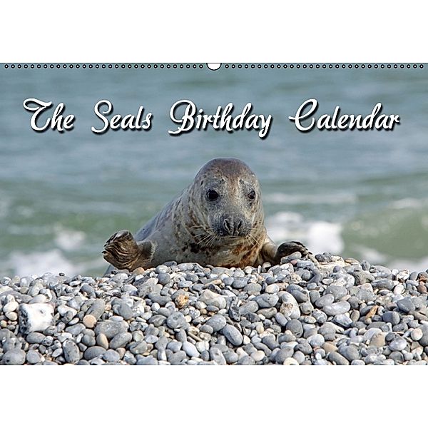 The Seals / UK-Version / Birthday Calendar (Wall Calendar perpetual DIN A2 Landscape), Martina Berg