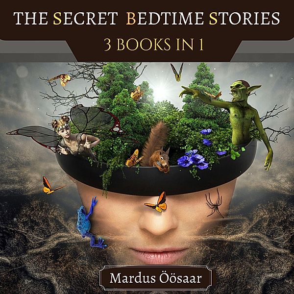 The Secret Bedtime Stories (Preschool Educational Picture Books, #3) / Preschool Educational Picture Books, Mardus Öösaar