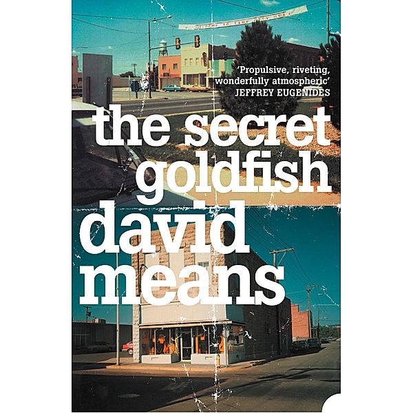 The Secret Goldfish, David Means