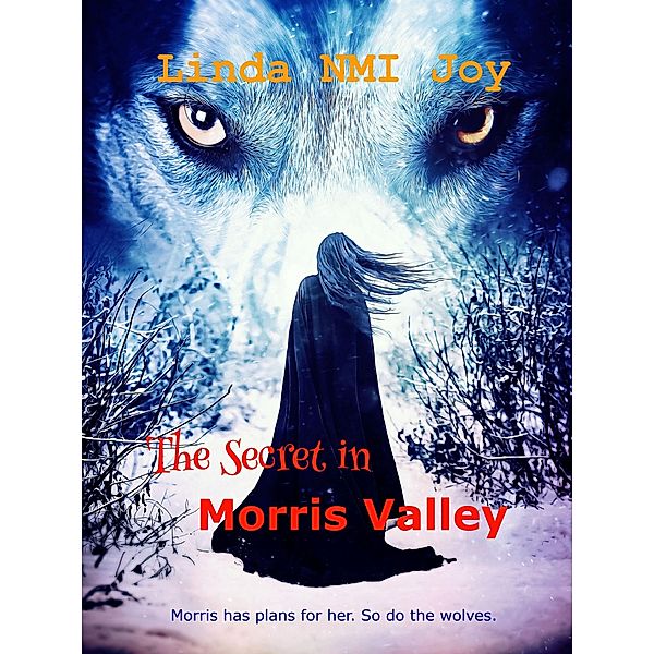 The Secret in Morris Valley, Linda (Nmi) Joy