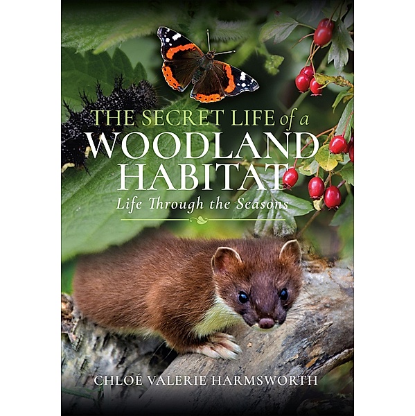 The Secret Life of a Woodland Habitat, Chloé Valerie Harmsworth