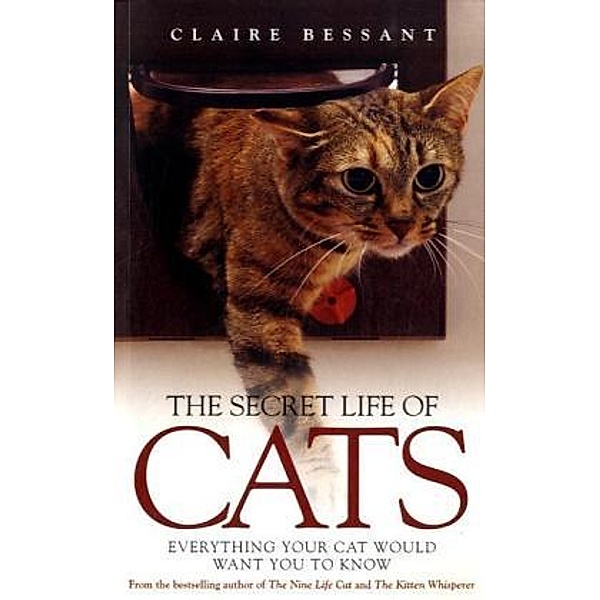 The Secret Life of Cats, Claire Bessant