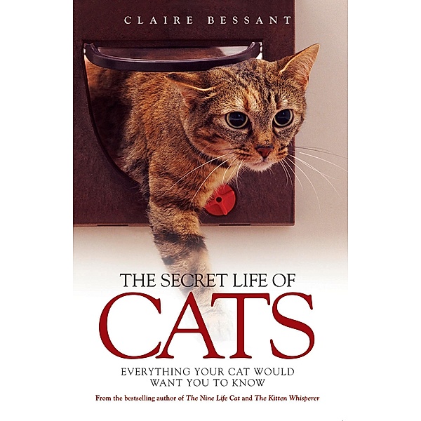 The Secret Life of Cats, Claire Bessant