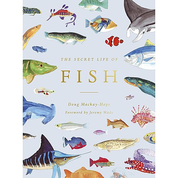 The Secret Life of Fish, Doug Mackay-Hope