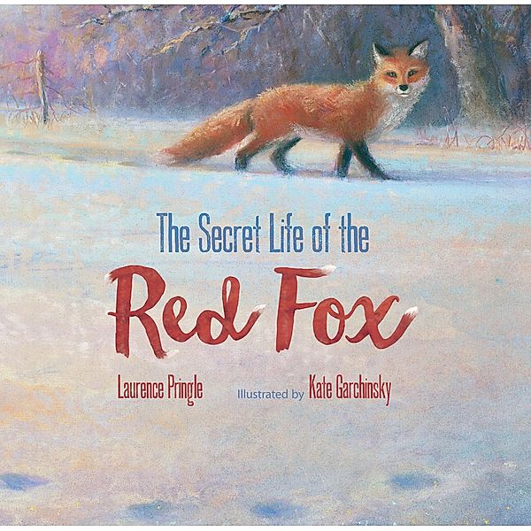 The Secret Life of the Red Fox, Laurence Pringle