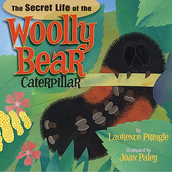 The Secret Life of the Woolly Bear Caterpillar, Laurence Pringle