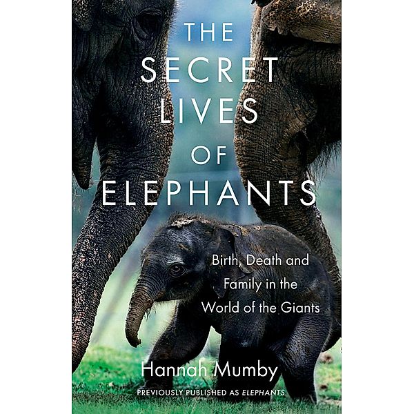 The Secret Lives of Elephants, Hannah Mumby