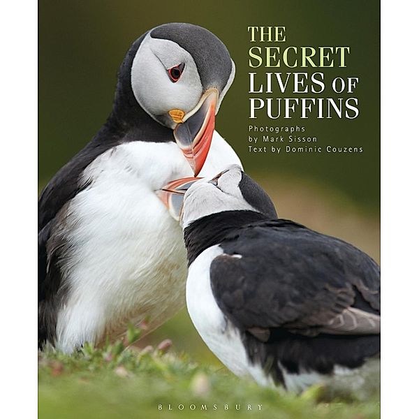 The Secret Lives of Puffins, Dominic Couzens