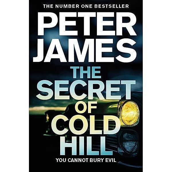 The Secret of Cold Hill, Peter James