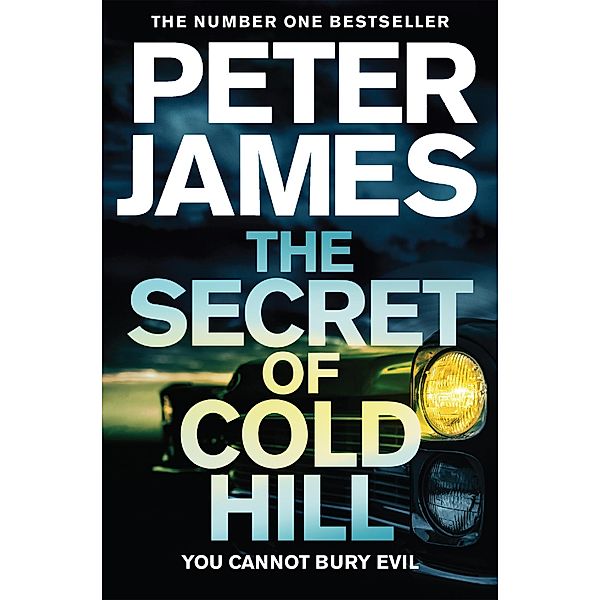 The Secret of Cold Hill, Peter James