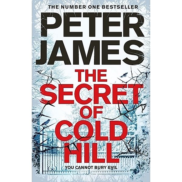 The Secret of Cold Hill, Peter James