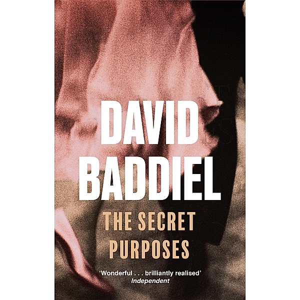 The Secret Purposes, David Baddiel