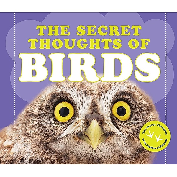 The Secret Thoughts of Birds, Cj Rose
