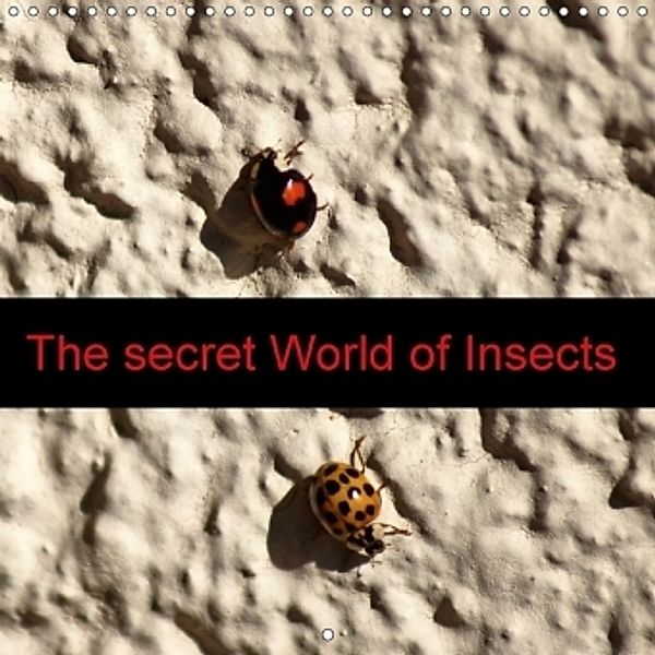 The secret World of Insects (Wall Calendar 2017 300 × 300 mm Square), Kattobello