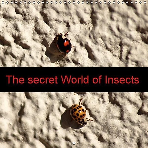 The secret World of Insects (Wall Calendar 2018 300 × 300 mm Square), kattobello
