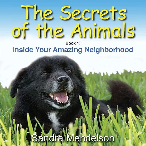 The Secrets of the Animals: The Secrets of the Animals, Sandra Mendelson