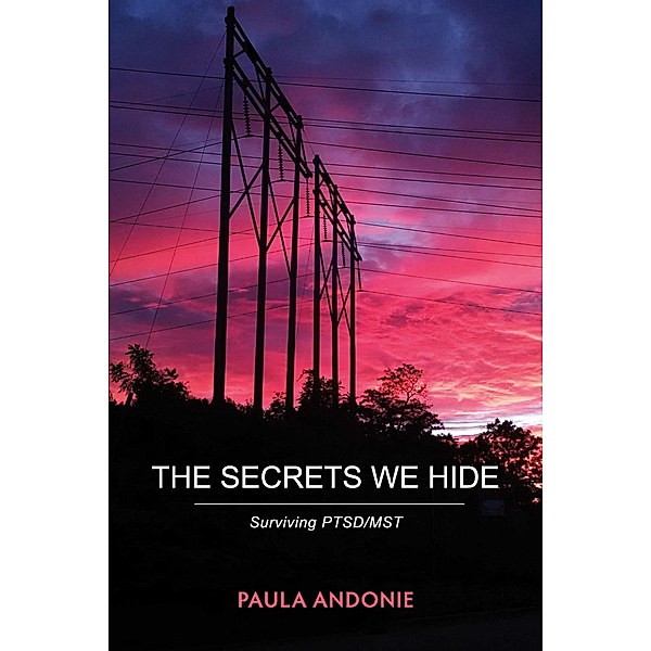 The Secrets We Hide, Paula Andonie