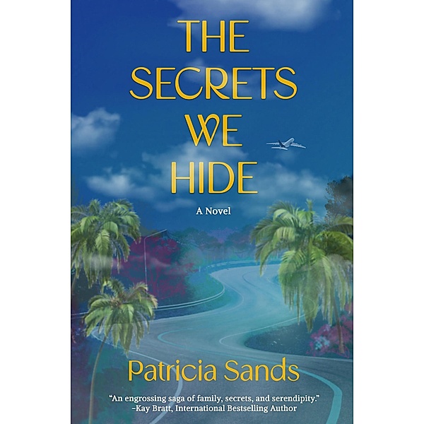 The Secrets We Hide, Patricia Sands