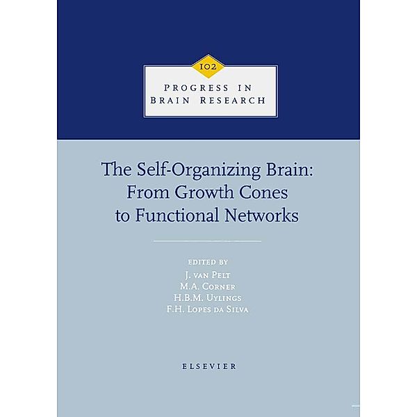 The Self-Organizing Brain: From Growth Cones to Functional Networks