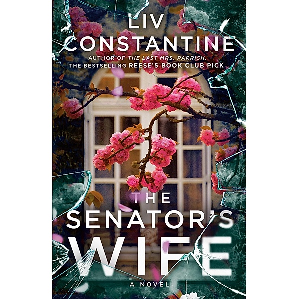 The Senator's Wife, Liv Constantine