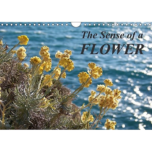 The Sense of a Flower (Wall Calendar 2018 DIN A4 Landscape), N N