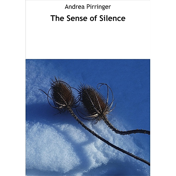 The Sense of Silence, Andrea Pirringer
