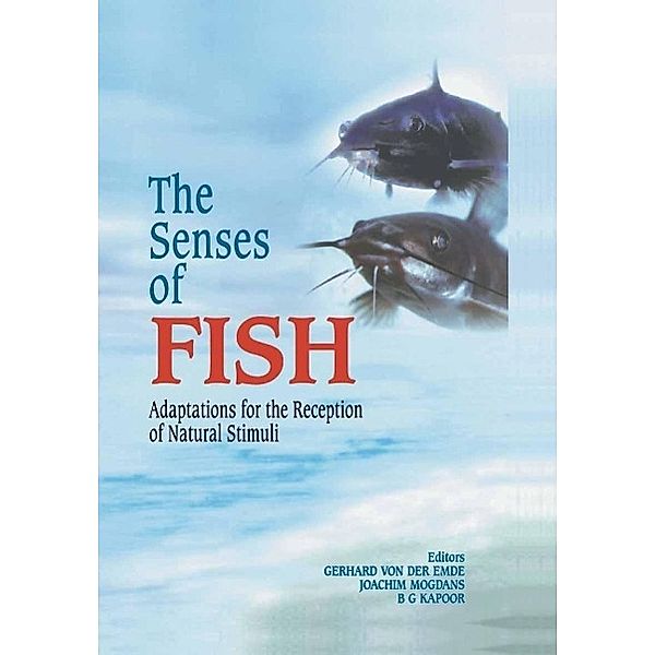 The Senses of Fish