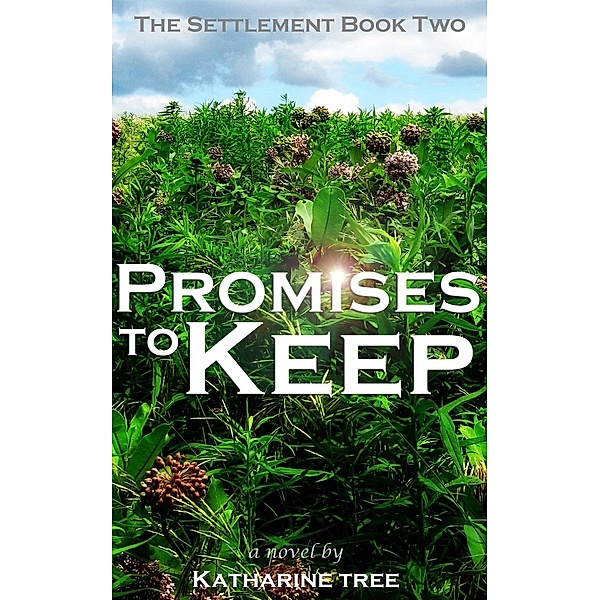 The Settlement: Promises to Keep (The Settlement, #2), Katharine Tree